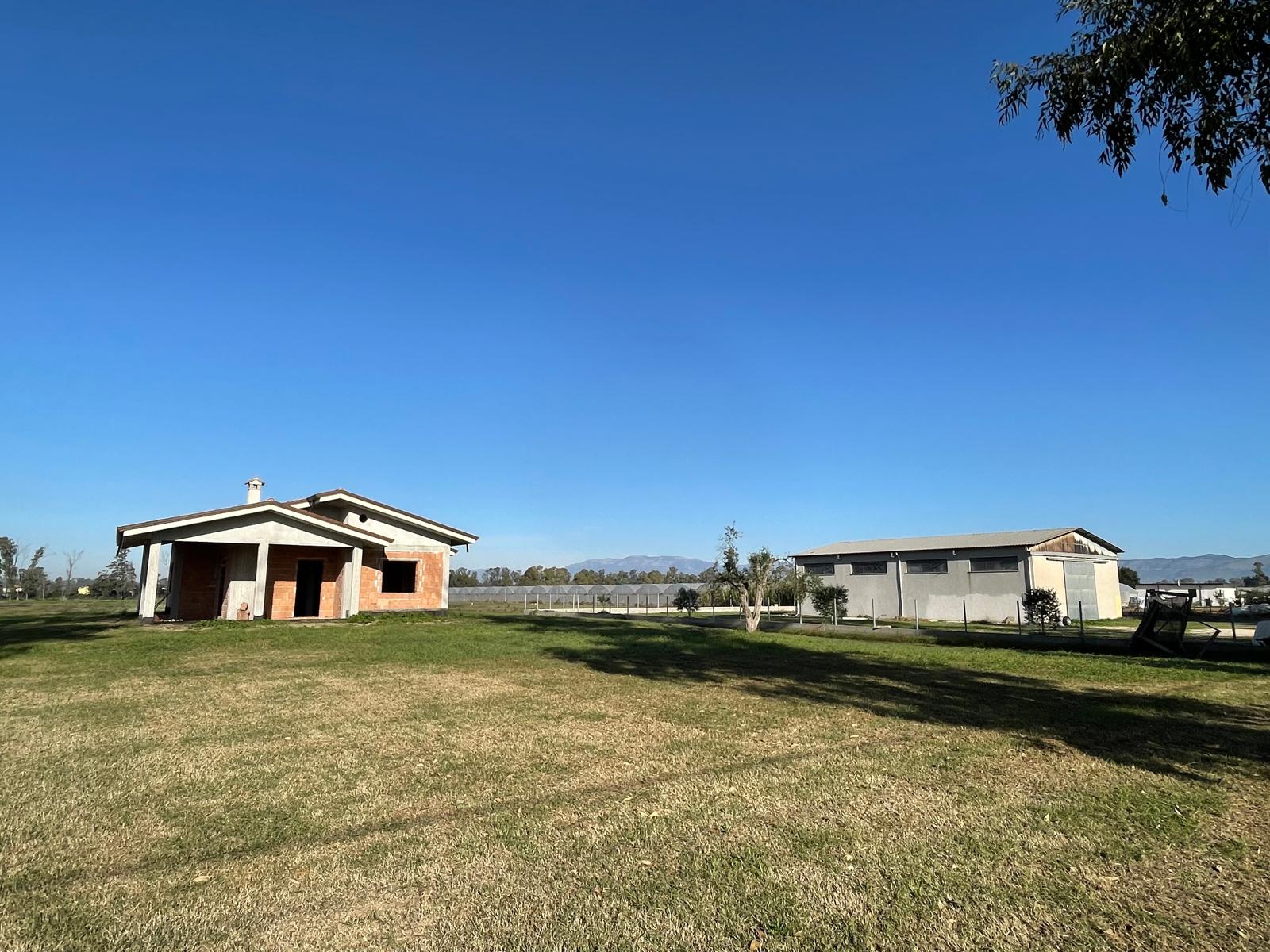 WhatsApp Image 2025-04-10 at 16.20.09.jpeg